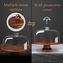 Suporte de bolo com cúpula e tampa de acrílico