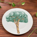 Aparelho de Jantar Cerâmica Ypê Verde - Serve 06 pessoas